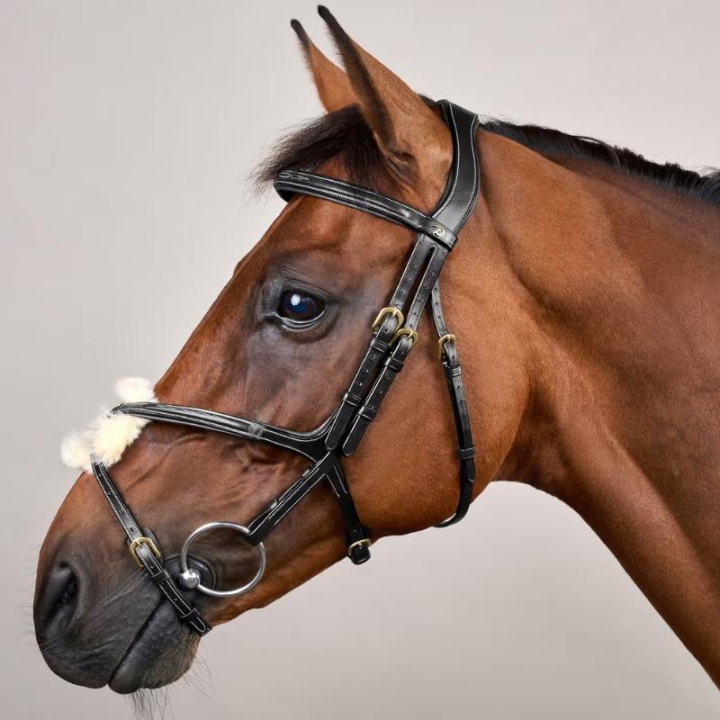 Mexikanische Trense Dyon Collection Schwarz in der Gruppe Pferdezubehör & Pferdebedarf / Zaumzeug & Stirnriemen / Trensen bei Equinest (DYAAACBLCBA_r)
