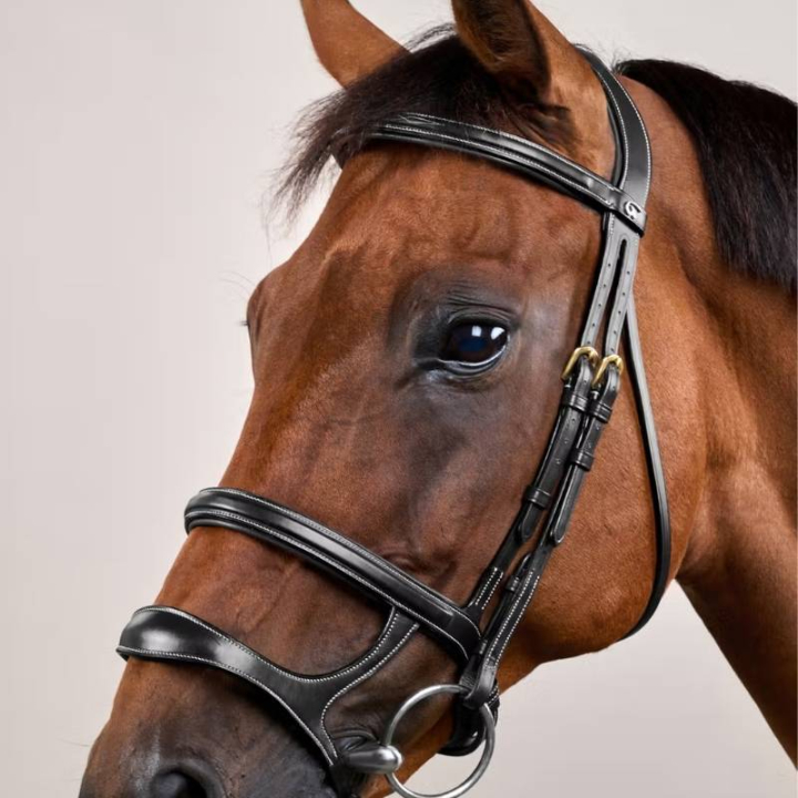 Trense mit Doppelter Nasenriemen Dyon Collection Schwarz in der Gruppe Pferdezubehör & Pferdebedarf / Zaumzeug & Stirnriemen / Trensen bei Equinest (DYAAAHBLCBA_r)