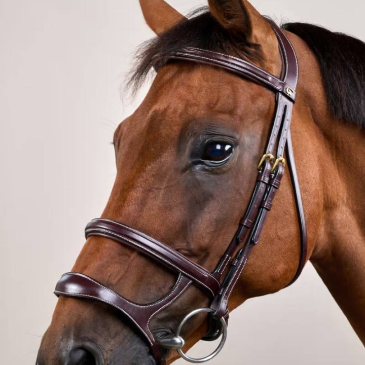 Trense mit Doppelter Nasenriemen Dyon Collection Braun in der Gruppe Pferdezubehör & Pferdebedarf / Zaumzeug & Stirnriemen / Trensen bei Equinest (DYAAAHBRCBR_r)