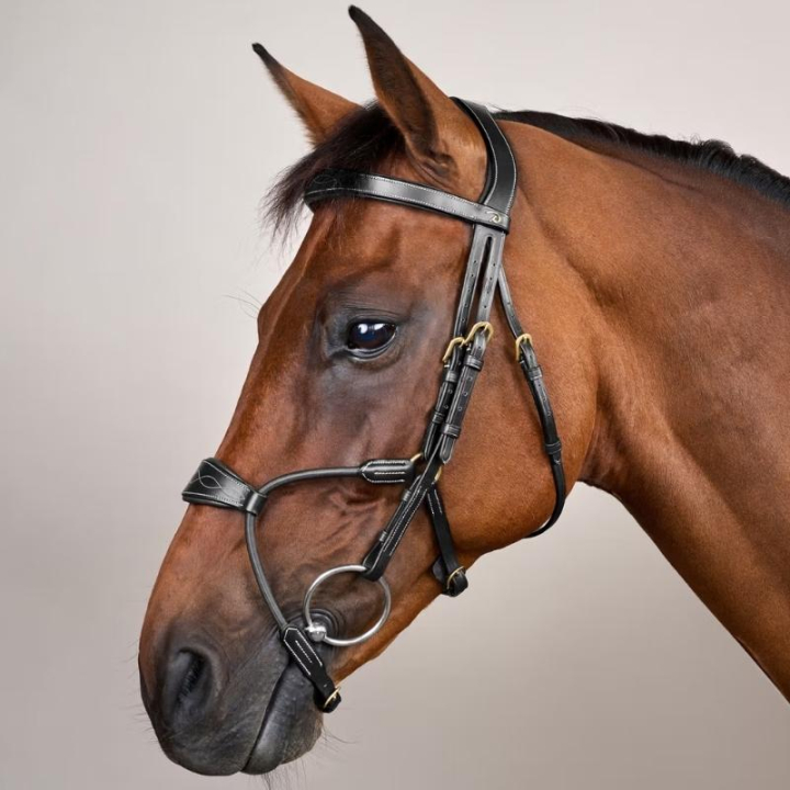 Trense Elastic Hybrid Dyon Collection Schwarz in der Gruppe Pferdezubehör & Pferdebedarf / Zaumzeug & Stirnriemen / Trensen bei Equinest (DYABA6BLCBA_r)