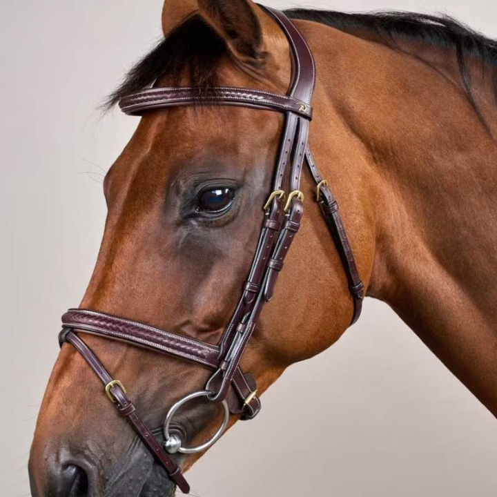 Trense mit kombiniertem Reithalfter Plaited Dyon Collection Braun in der Gruppe Pferdezubehör & Pferdebedarf / Zaumzeug & Stirnriemen / Trensen bei Equinest (DYAOAKBRCBR_r)