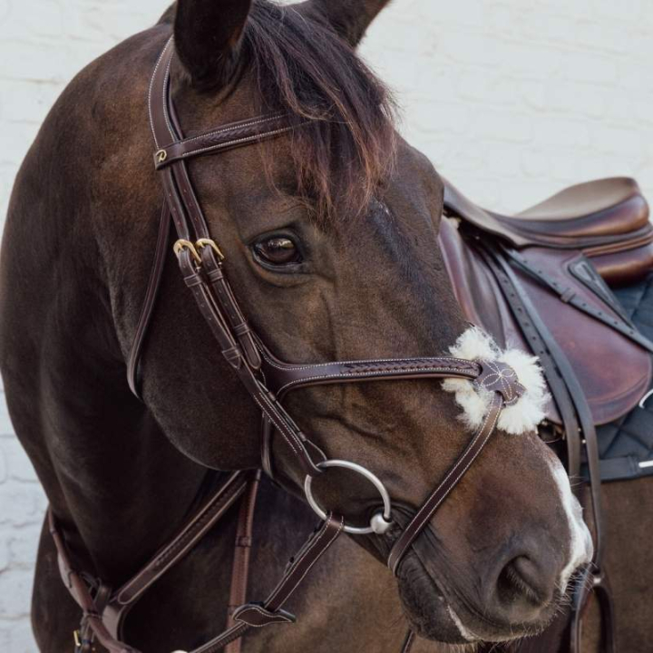 Mexikanische Trense Plaited Dyon Collection Braun in der Gruppe Pferdezubehör & Pferdebedarf / Zaumzeug & Stirnriemen / Trensen bei Equinest (DYAOAVBRCBR_r)