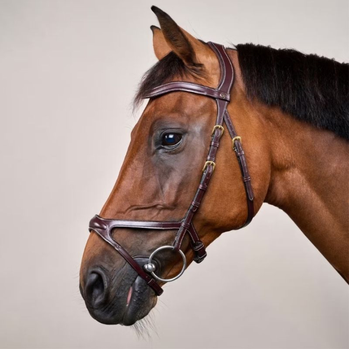 Trense X-Fit Anatomisch DC Braun in der Gruppe Pferdezubehör & Pferdebedarf / Zaumzeug & Stirnriemen / Trensen bei Equinest (DYCCCDBr_r)