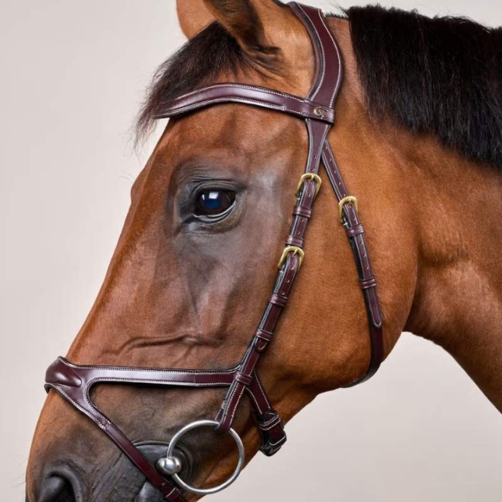 Trense X-Fit Anatomisch Dyon Collection Braun in der Gruppe Pferdezubehör & Pferdebedarf / Zaumzeug & Stirnriemen / Trensen bei Equinest (DYCCCDBr_r)