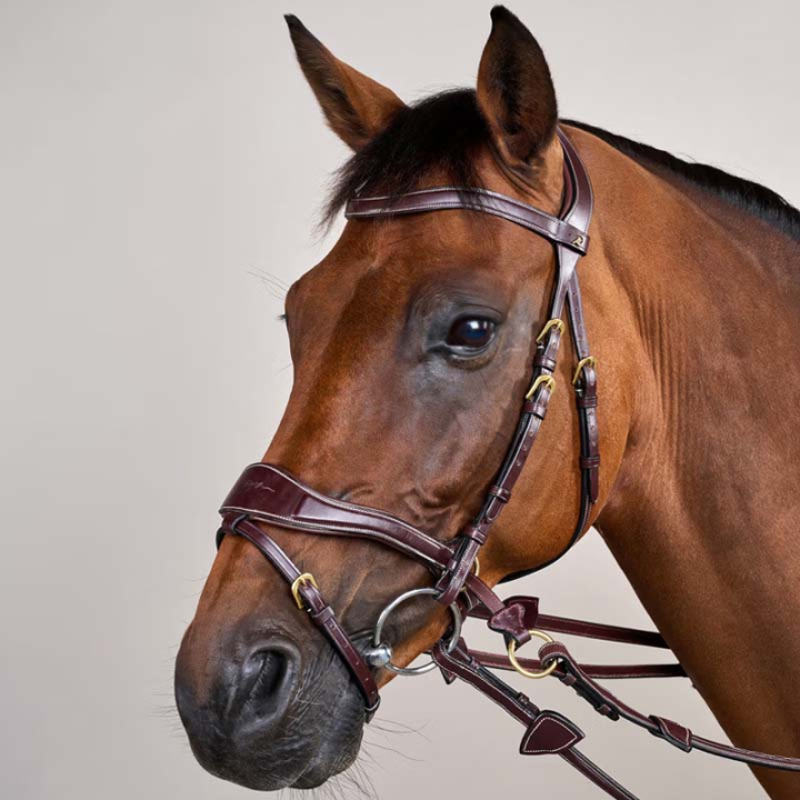 Trense D Motion Dyon Collection Braun in der Gruppe Pferdezubehör & Pferdebedarf / Zaumzeug & Stirnriemen / Trensen bei Equinest (DYCCCWBRCBR_r)