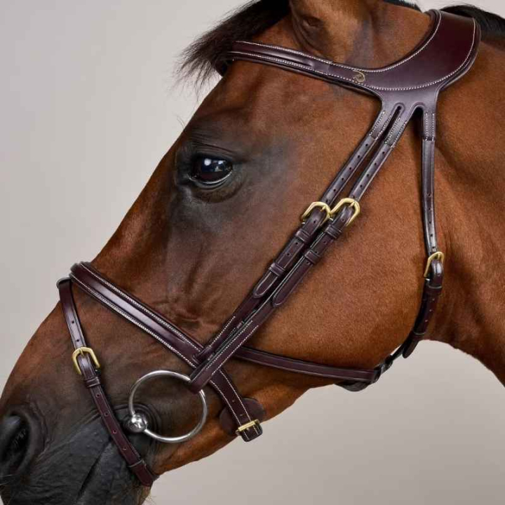 Trense Difference Dyon Collection Braun in der Gruppe Pferdezubehör & Pferdebedarf / Zaumzeug & Stirnriemen / Trensen bei Equinest (DYGXAUBRCBR_r)