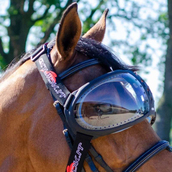 eVysor Transparent  in der Gruppe Pferdezubehör & Pferdebedarf / Zubehör bei Equinest (EVYSOR1)