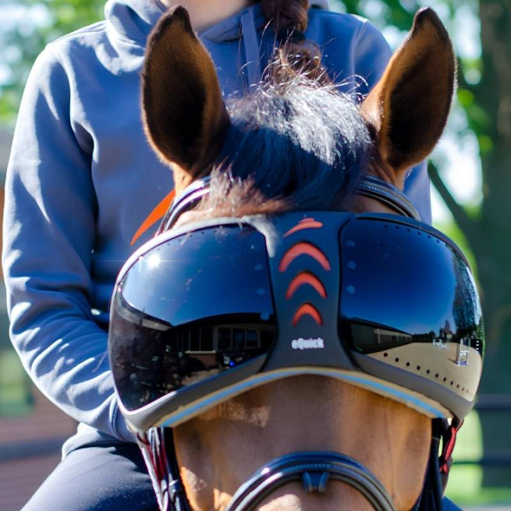eVysor Darker  in der Gruppe Pferdezubehör & Pferdebedarf / Zubehör bei Equinest (EVYSOR2)
