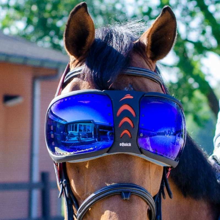eVysor Mirrored Blue in der Gruppe Pferdezubehör & Pferdebedarf / Zubehör bei Equinest (EVYSOR3BL)