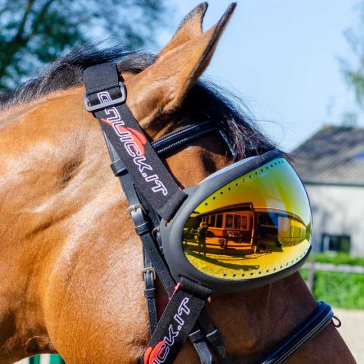 eVysor Mirrored Orange in der Gruppe Pferdezubehör & Pferdebedarf / Zubehör bei Equinest (EVYSOR4OR)