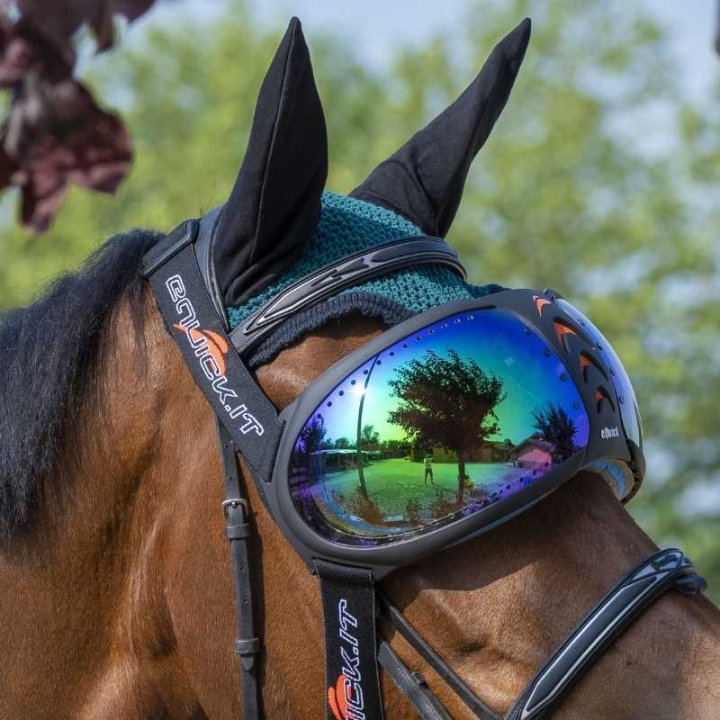 eVysor Mirrored Green  in der Gruppe Pferdezubehör & Pferdebedarf / Zubehör bei Equinest (EVYSOR5GN)