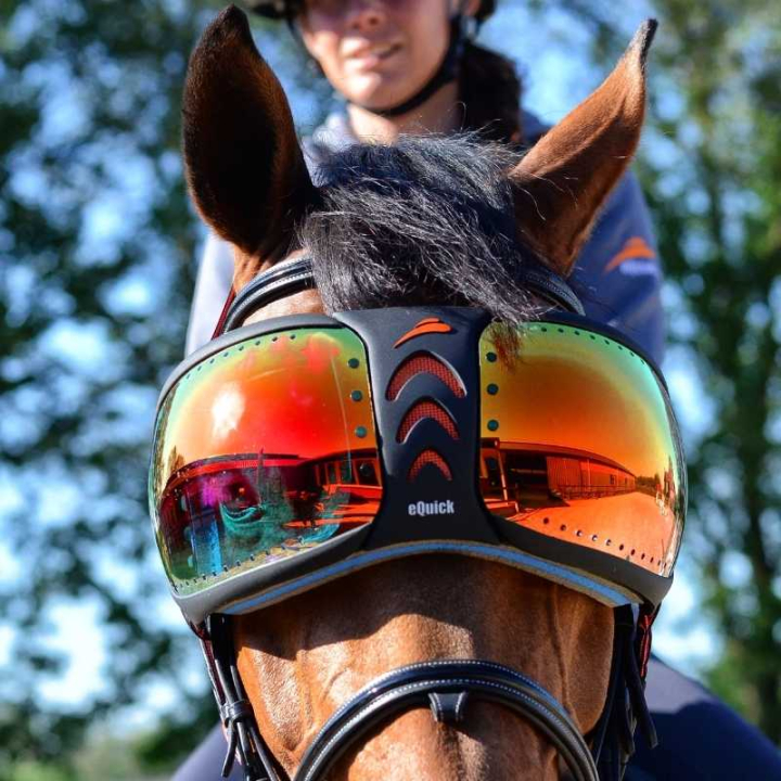 eVysor Mirrored Rainbow in der Gruppe Pferdezubehör & Pferdebedarf / Zubehör bei Equinest (EVYSOR6)