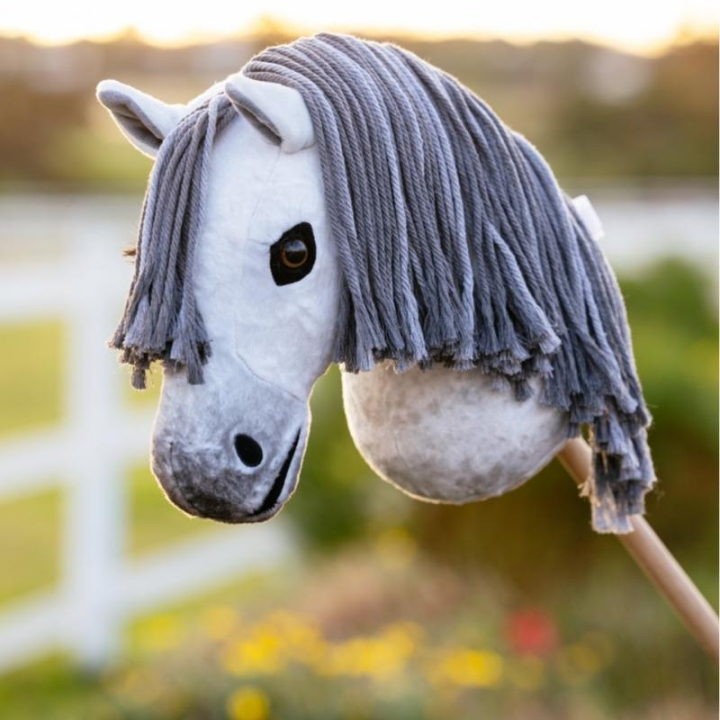 Steckenpferde Earl in der Gruppe Steckenpferde & Spielzeugpferde / Steckenpferde bei Equinest (IT071110)