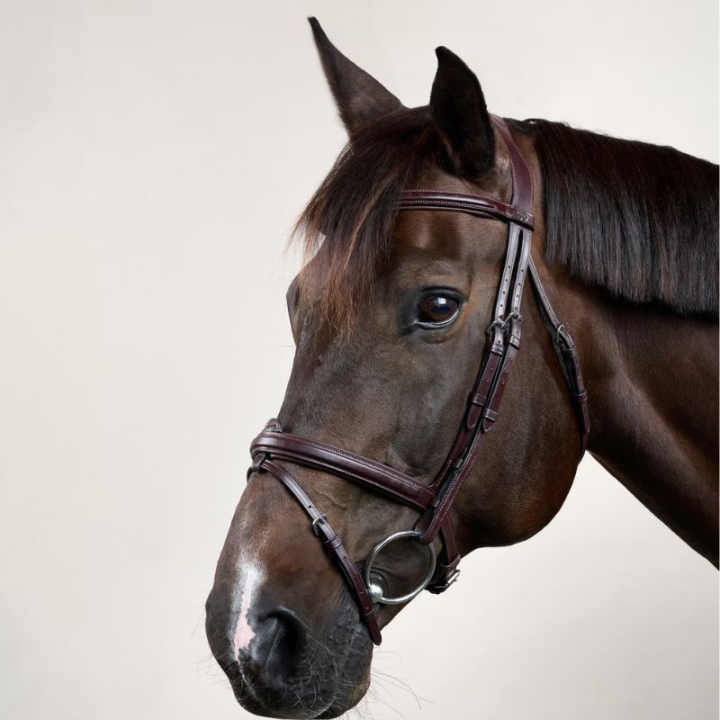 Trense Erhöhte Kombinierter Nasenriemen NE Braun in der Gruppe Pferdezubehör & Pferdebedarf / Zaumzeug & Stirnriemen / Trensen bei Equinest (NEAAAABr_r)