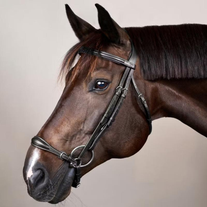 Hannoversche Trense New English Collection Schwarz in der Gruppe Pferdezubehör & Pferdebedarf / Zaumzeug & Stirnriemen / Kandarenzaum & Dressurtrensen bei Equinest (NEAAAEBLCBA_r)