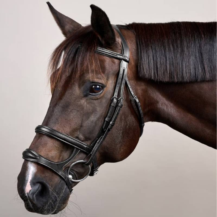 Trense mit Doppelter Nasenriemen New English Collection Schwarz in der Gruppe Pferdezubehör & Pferdebedarf / Zaumzeug & Stirnriemen / Trensen bei Equinest (NEAAAHBLCBA_r)