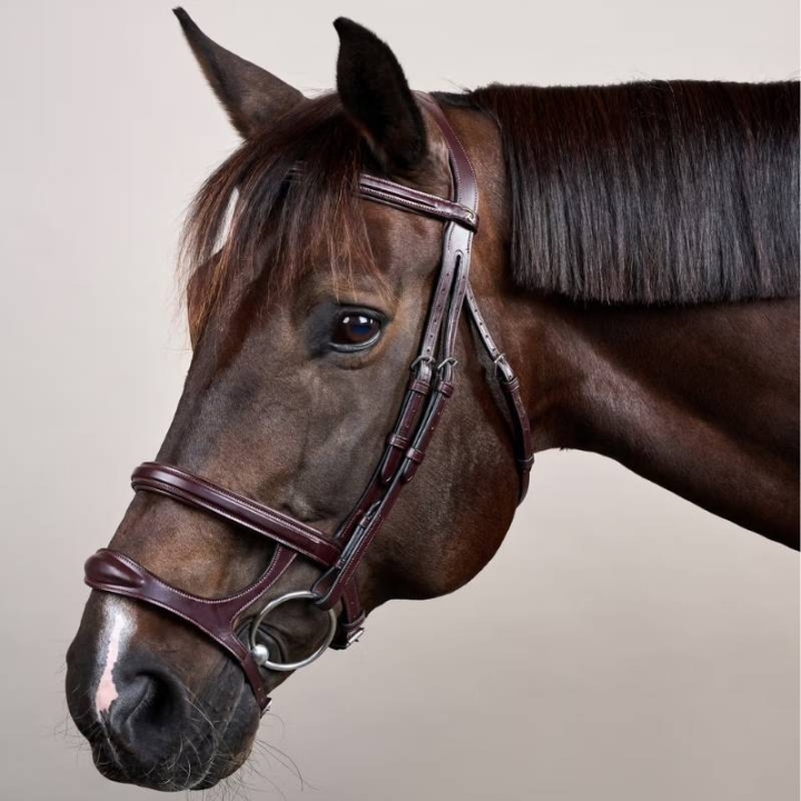 Trense mit Doppelter Nasenriemen New English Collection Braun in der Gruppe Pferdezubehör & Pferdebedarf / Zaumzeug & Stirnriemen / Trensen bei Equinest (NEAAAHBRCBR_r)