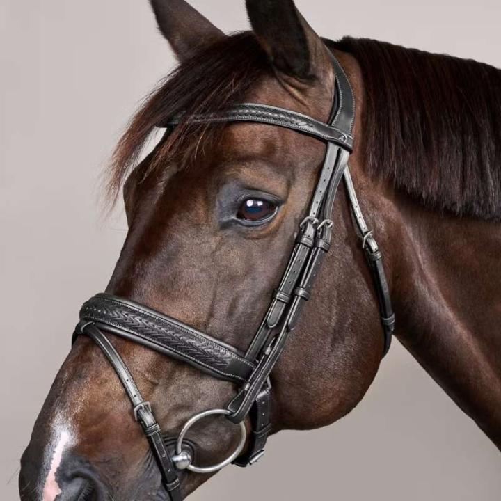 Trense Plaited Pull Back New English Collection Schwarz in der Gruppe Pferdezubehör & Pferdebedarf / Zaumzeug & Stirnriemen / Trensen bei Equinest (NEAJAZBLCBA_r)