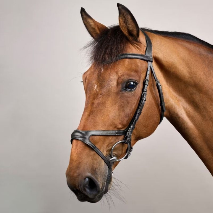 Trense X-Fit Anatomisch NE Schwarz in der Gruppe Pferdezubehör & Pferdebedarf / Zaumzeug & Stirnriemen / Trensen bei Equinest (NECCCDSv_r)