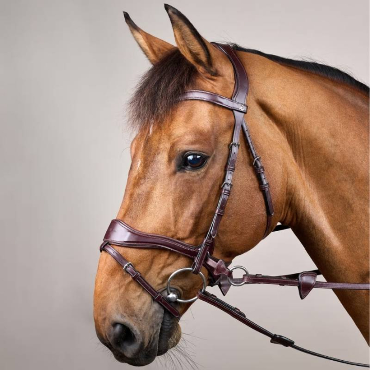Trense D Motion New English Collection Braun in der Gruppe Pferdezubehör & Pferdebedarf / Zaumzeug & Stirnriemen / Hackamore & Gebisslose Trensen bei Equinest (NECCCWBRCBR_r)