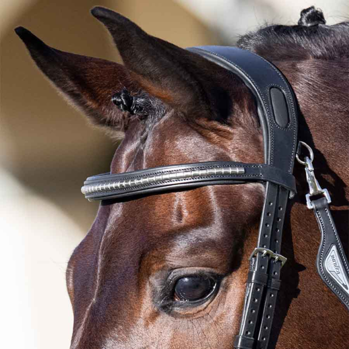 Stirnriemen Klinker Schwarz/Silber in der Gruppe Pferdezubehör & Pferdebedarf / Zaumzeug & Stirnriemen / Stirnriemen bei Equinest (SC013PBB0424BA)