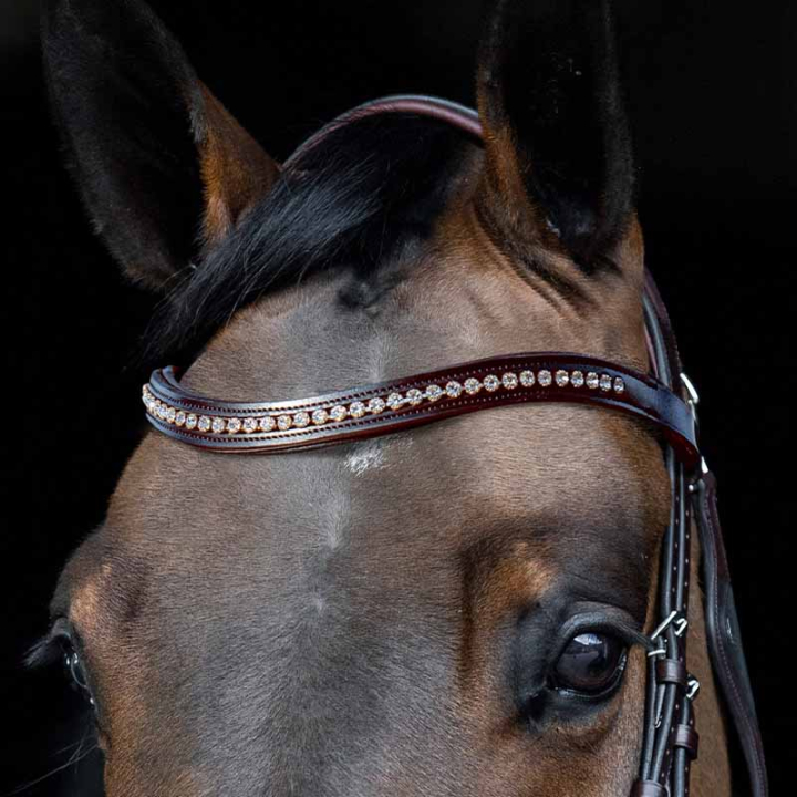 Stirnriemen Strass U-Form Braun in der Gruppe Pferdezubehör & Pferdebedarf / Zaumzeug & Stirnriemen / Stirnriemen bei Equinest (SC013PBB0425BR)