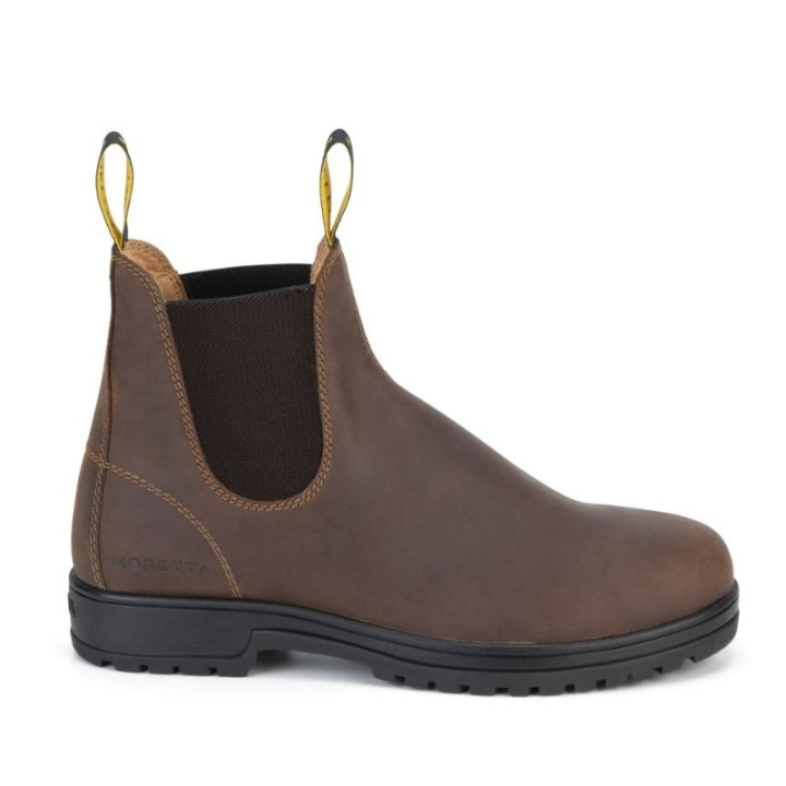 Stallschuhe Ettore Braun in der Gruppe Schuhe, Stiefel & Chaps / Reitstiefeletten & Reitschuhe bei Equinest (SH112040BR_r)