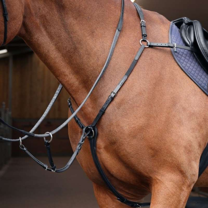 Vorderzeug mit Martingal Rapida Schwarz in der Gruppe Pferdezubehör & Pferdebedarf / Martingal & Vorderzeug / Vorderzeug bei Equinest (SH513501BA_r)