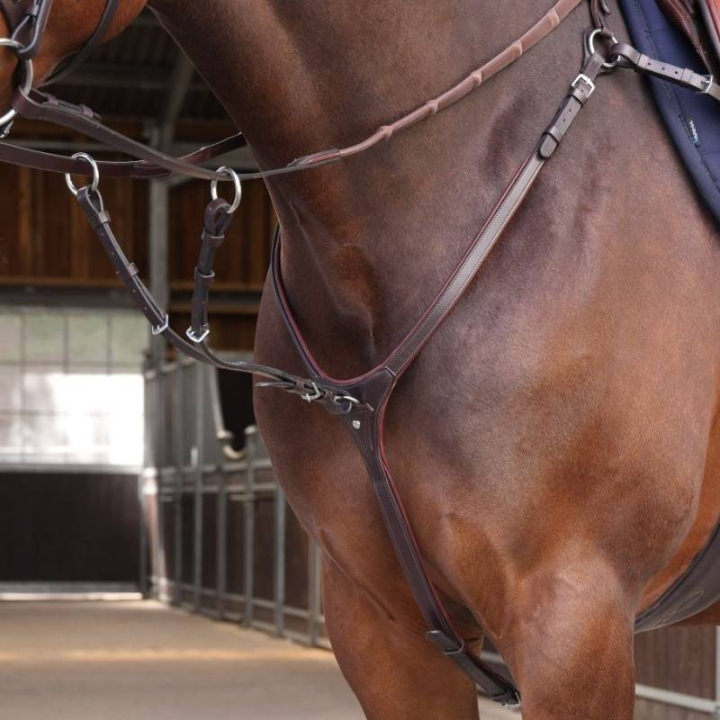 Vorderzeug mit Martingal LUSSO Elite Braun in der Gruppe Pferdezubehör & Pferdebedarf / Martingal & Vorderzeug / Vorderzeug bei Equinest (SH515103BR_r)