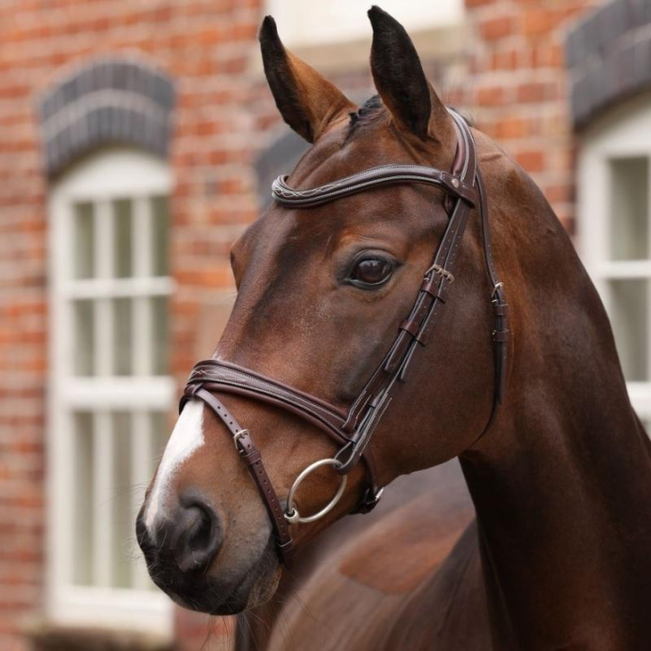 Trense Gepolsterter Nasenriemen LUSSO Opus 180M Braun in der Gruppe Pferdezubehör & Pferdebedarf / Zaumzeug & Stirnriemen / Trensen bei Equinest (SH515403BR_r)