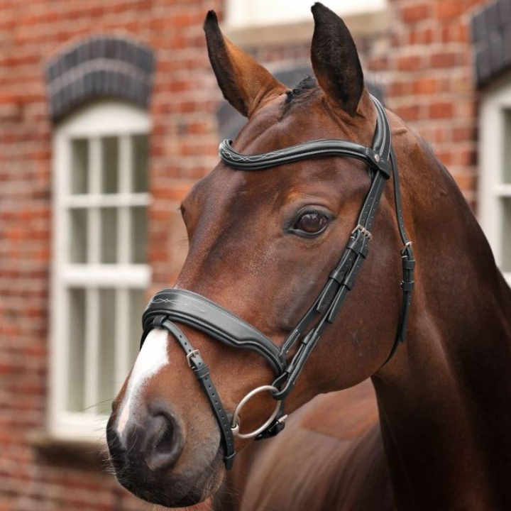 Trense Breites Nasenriemen LUSSO Opus 180M Schwarz in der Gruppe Pferdezubehör & Pferdebedarf / Zaumzeug & Stirnriemen / Trensen bei Equinest (SH515801BA_r)