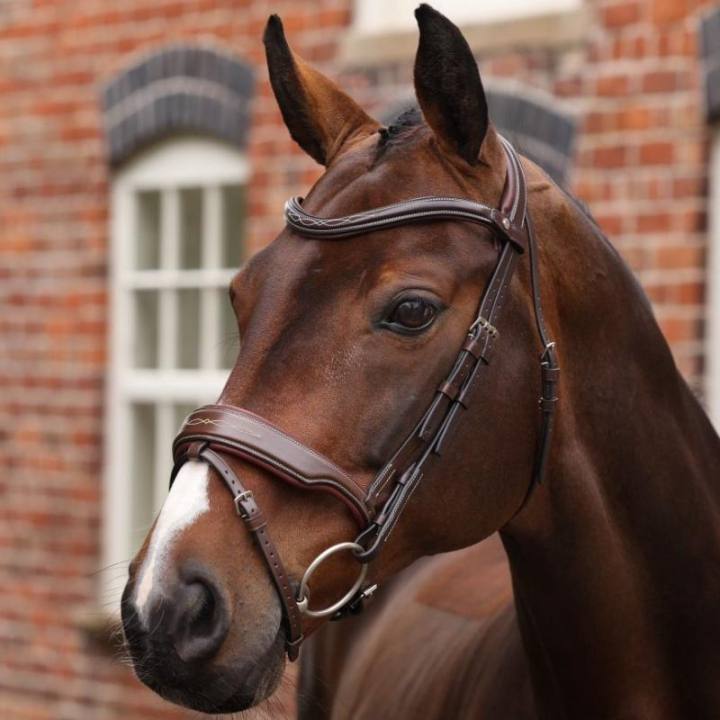 Trense Breites Nasenriemen LUSSO Opus 180M Braun in der Gruppe Pferdezubehör & Pferdebedarf / Zaumzeug & Stirnriemen / Trensen bei Equinest (SH515803BR_r)