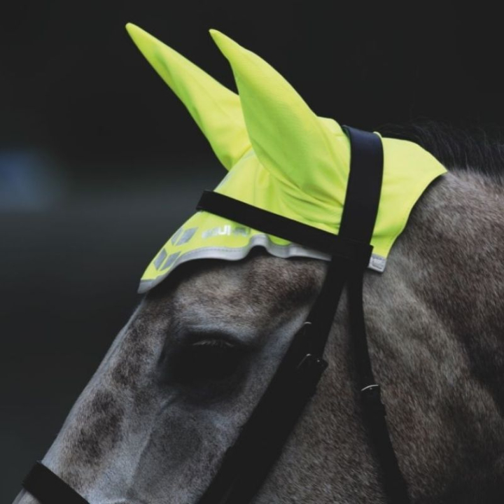 Haube Reflective Gelb in der Gruppe Reitausrüstung / Reflexartikel bei Equinest (SH940142PYE_r)