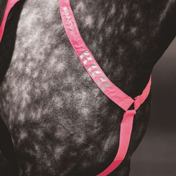 Vorderzeug Reflective Rosa in der Gruppe Reitausrüstung / Reflexartikel bei Equinest (SH940535PCPI_r)