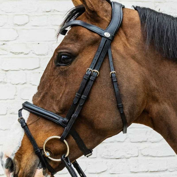 Trense mit kombiniertem Reithalfter Soft Collection Schwarz in der Gruppe Pferdezubehör & Pferdebedarf / Zaumzeug & Stirnriemen / Trensen bei Equinest (SO1000101BA_r)