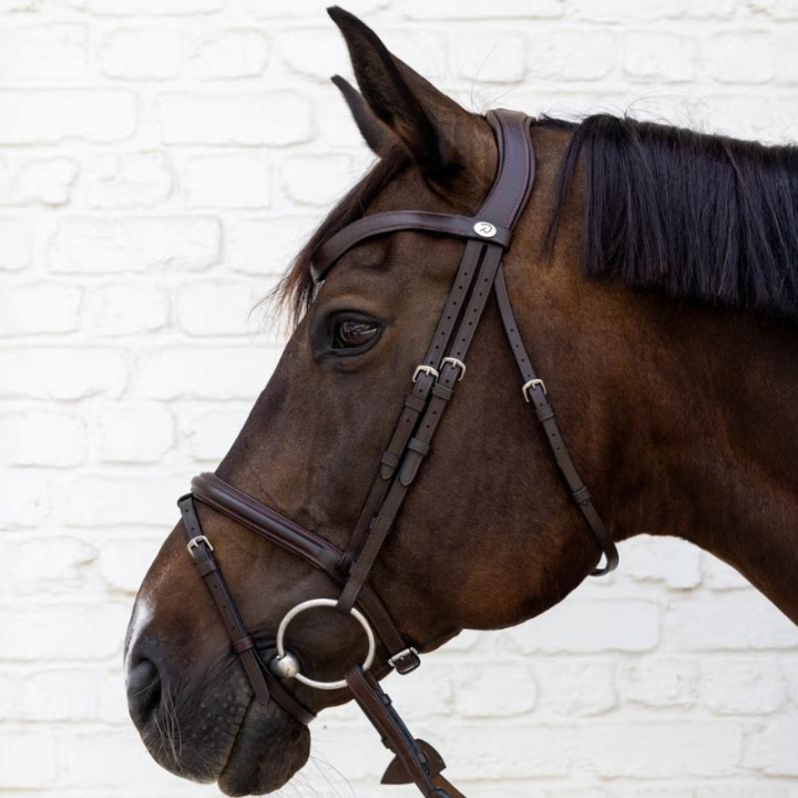 Trense mit kombiniertem Reithalfter Soft Collection Braun in der Gruppe Pferdezubehör & Pferdebedarf / Zaumzeug & Stirnriemen / Trensen bei Equinest (SO1000105BR_r)