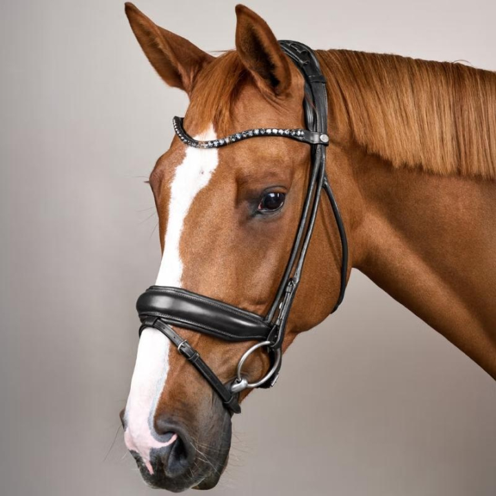 Dressurtrense Breites Nasenriemen Soft Collection Schwarz in der Gruppe Pferdezubehör & Pferdebedarf / Zaumzeug & Stirnriemen / Kandarenzaum & Dressurtrensen bei Equinest (SO1000301BA_r)