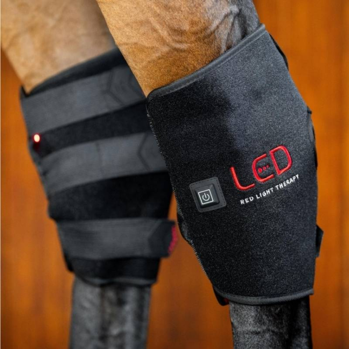 Therapie-Gamaschen Sprunggelenk LED Red Light Therapy  in der Gruppe Pflegeprodukte / Massage & Kreislauf bei Equinest (TLHHT1KK0BA_r)