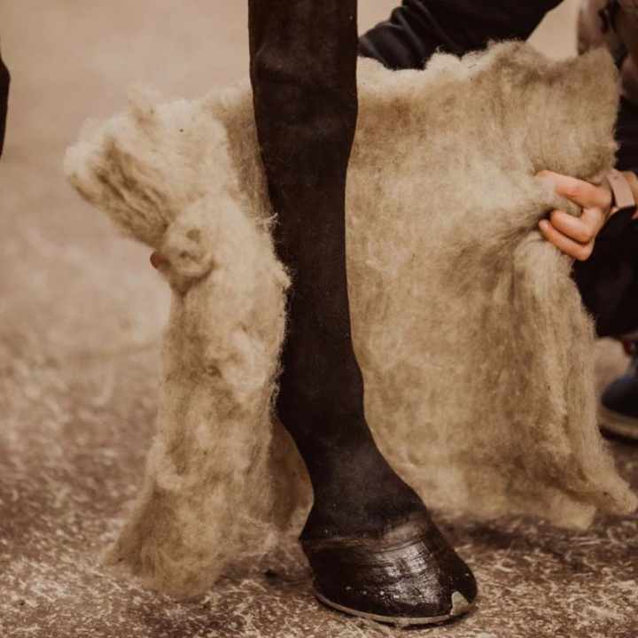 Wollpads Wool Care Nature in der Gruppe Pflegeprodukte / Massage & Kreislauf bei Equinest (V900NE)