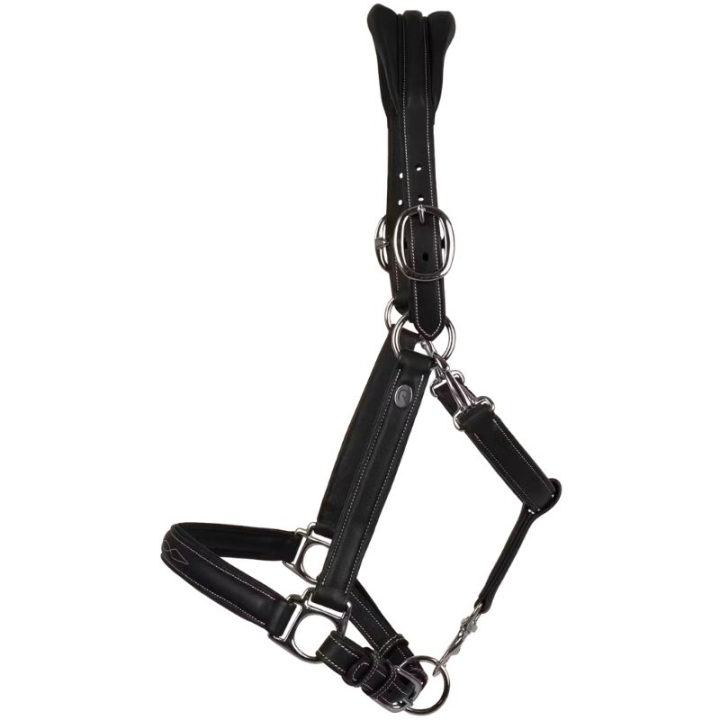 Lederhalfter 2-in-1 Working Collection Schwarz in der Gruppe Pferdezubehör & Pferdebedarf / Halfter / Lederhalfter bei Equinest (WO09ASv_r)