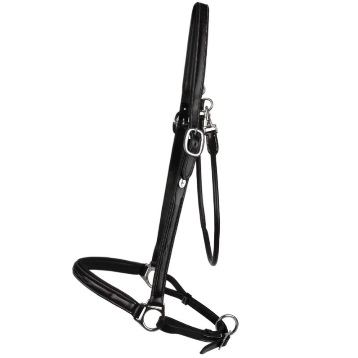 Pflegehalfter Leather WBD Schwarz in der Gruppe Pferdezubehör & Pferdebedarf / Halfter / Lederhalfter bei Equinest (WO09BBLCBA_r)