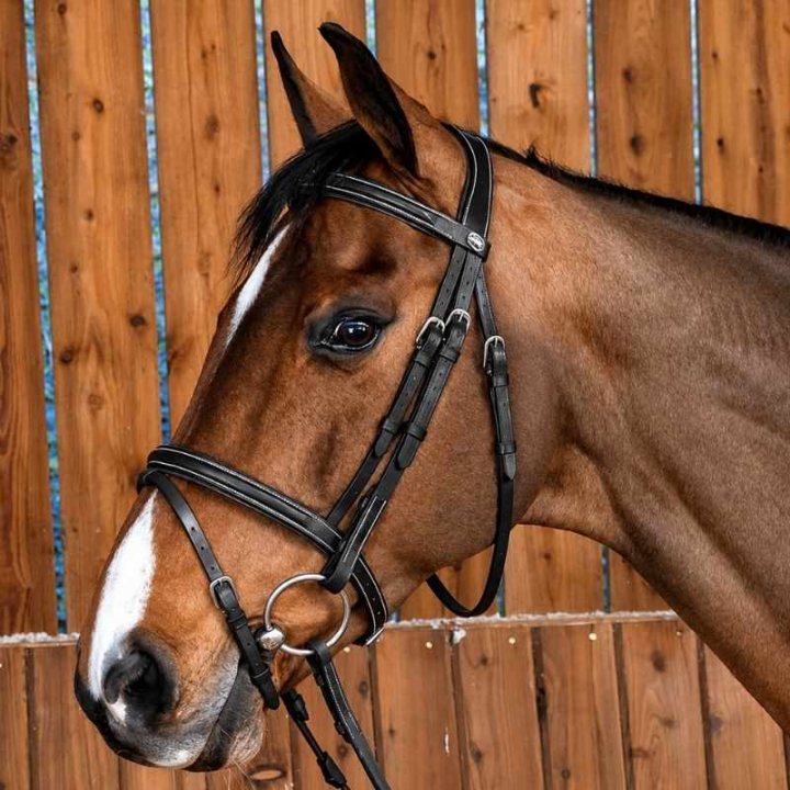 Trense Klassisches Kombi-Nasenband WC Schwarz in der Gruppe Pferdezubehör & Pferdebedarf / Zaumzeug & Stirnriemen / Trensen bei Equinest (WOAAHLSv_r)