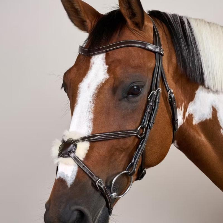 Trense Mexikanische Nasenriemen WC Braun in der Gruppe Pferdezubehör & Pferdebedarf / Zaumzeug & Stirnriemen / Trensen bei Equinest (WOAQHCBr_r)