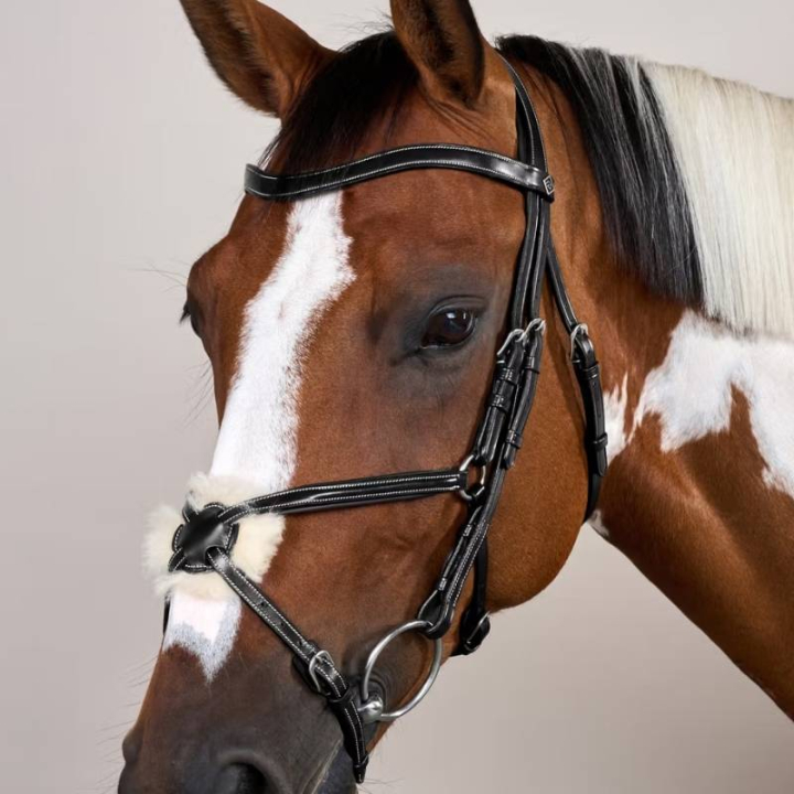 Trense Mexikanische Nasenriemen WC Schwarz in der Gruppe Pferdezubehör & Pferdebedarf / Zaumzeug & Stirnriemen / Trensen bei Equinest (WOAQHCSv_r)