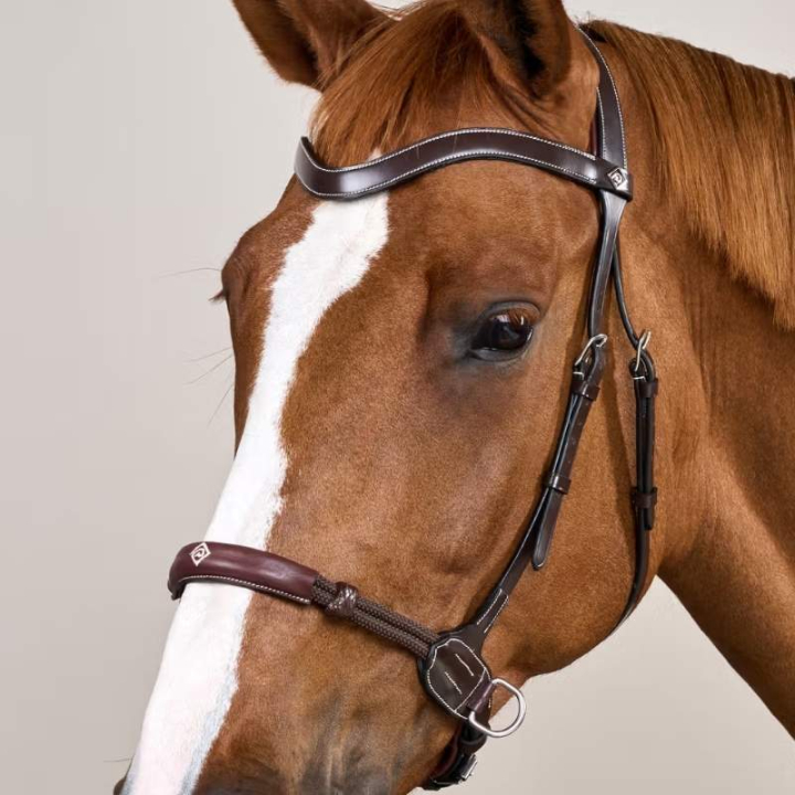 Gebisslose Trense Working Collection Braun in der Gruppe Pferdezubehör & Pferdebedarf / Zaumzeug & Stirnriemen / Hackamore & Gebisslose Trensen bei Equinest (WOCCXVBRCBR_r)