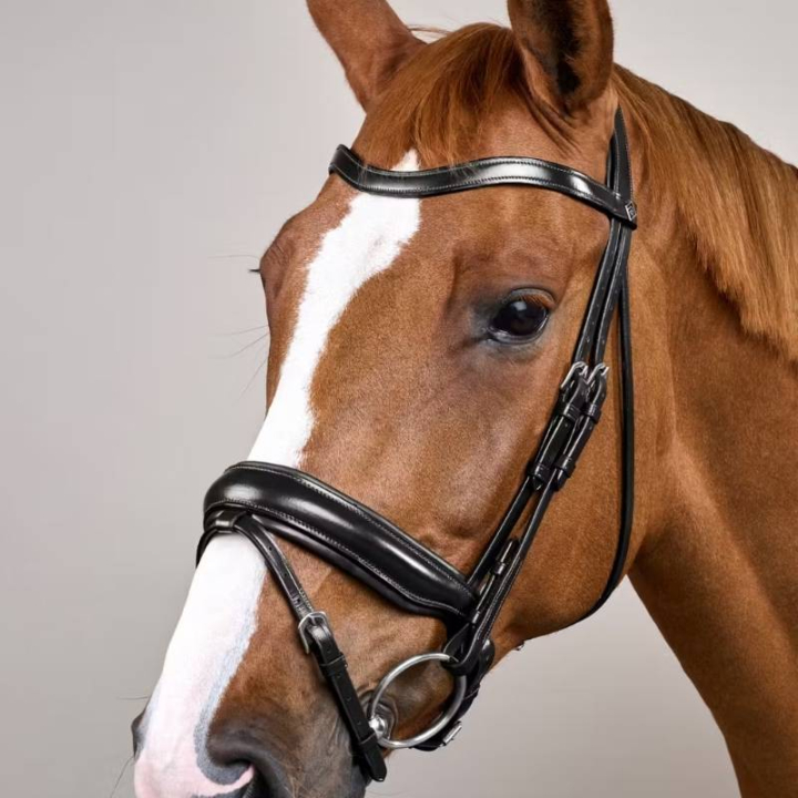 Dressurtrense Matt WC Schwarz in der Gruppe Pferdezubehör & Pferdebedarf / Zaumzeug & Stirnriemen / Kandarenzaum & Dressurtrensen bei Equinest (WODCAMSv_r)