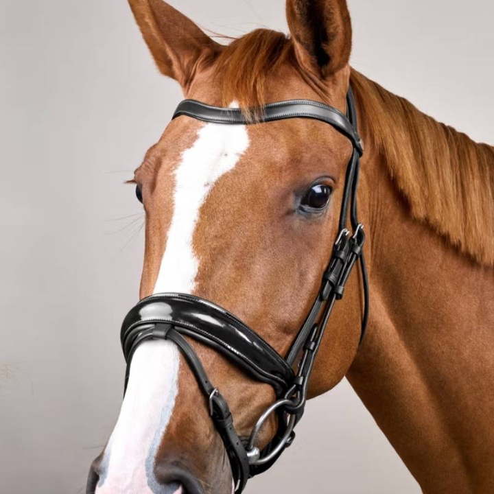 Dressurtrense Lack WC Schwarz in der Gruppe Pferdezubehör & Pferdebedarf / Zaumzeug & Stirnriemen / Kandarenzaum & Dressurtrensen bei Equinest (WODCANSv_r)