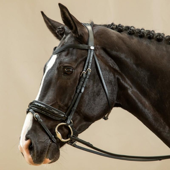Dressurtrense Lack Working Collection Schwarz in der Gruppe Pferdezubehör & Pferdebedarf / Zaumzeug & Stirnriemen / Kandarenzaum & Dressurtrensen bei Equinest (WODCANSv_r)