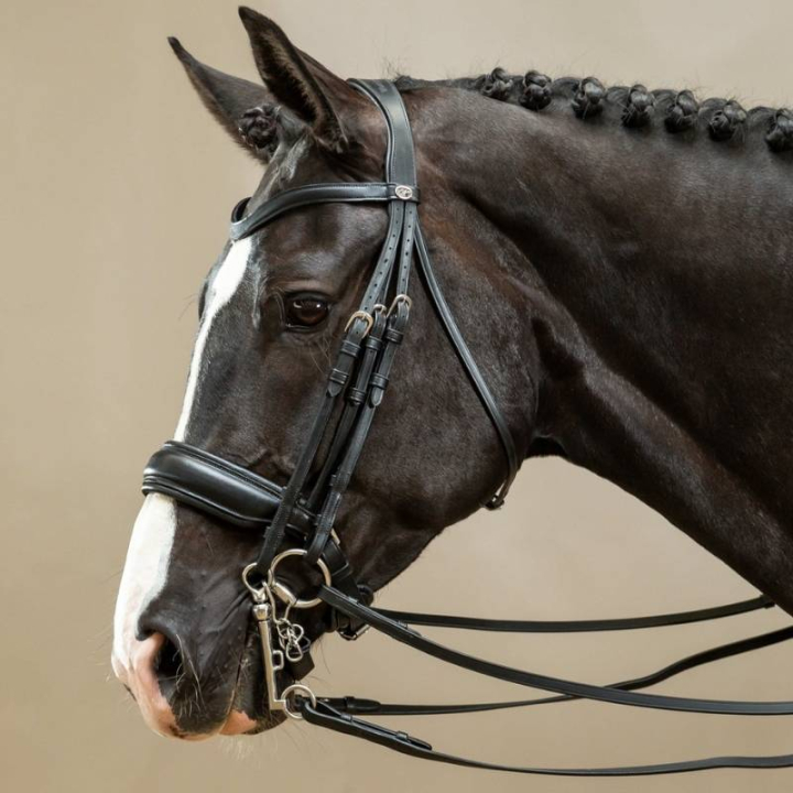 Kandarenzaum Matt Working Collection Schwarz in der Gruppe Pferdezubehör & Pferdebedarf / Zaumzeug & Stirnriemen / Kandarenzaum & Dressurtrensen bei Equinest (WOECARSv_r)