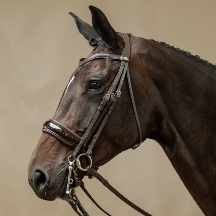 Kandarenzaum Lack Working Collection Braun in der Gruppe Pferdezubehör & Pferdebedarf / Zaumzeug & Stirnriemen / Kandarenzaum & Dressurtrensen bei Equinest (WOECASBRCBR_r)